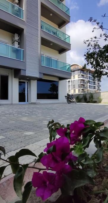 Apartament Royal